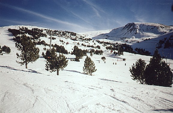 Лыжи и природа